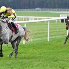 Plenty of drama in this beginners' chase at Punchestown! | Racing TV