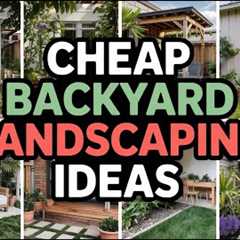 Genius Cheap Backyard Landscaping Ideas To Inspire You! Unlock Your Oasis