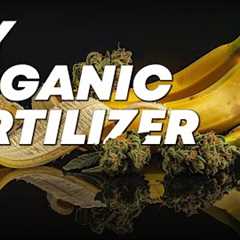 How to make FFJ Organic Fertilizer |   Fast Buds