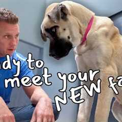 Watch this Puppy Discover Love for the First Time