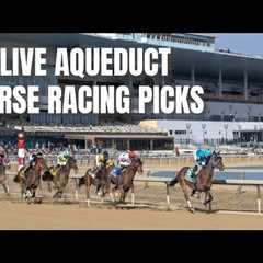 Live Aqueduct Horse Racing Picks. Win and Exotic Contenders for all Races. January 2nd, 2026