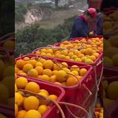 This Is Not Sci-Fi — These Drones Exist Now 😲