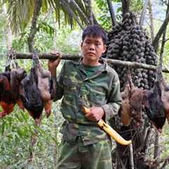 Survival skills: tracking wild chicken tracks, using rudimentary traps to catch them, survival alone