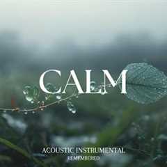 Relaxing Guitar for Stress Relief, work and study | REMEMBERED