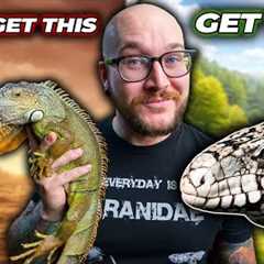 5 Reptiles You THINK You Want But Definitely DON'T!