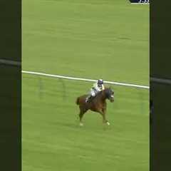 Horse somehow gets beat!