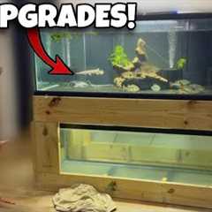 Fish Room Maintenance Day | Water Changes, Plumbing, and Tank Updates