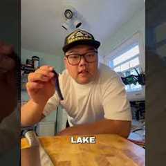 Here’s what I served up to the bass on lake today #bassfishingtips