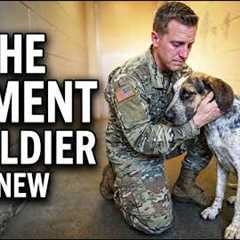 Here's What a Soldier Saw in this Dog  NO ONE Wanted 🥲