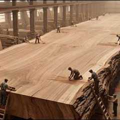 Extreme Giant Wood Processing | Massive Machinery Handling Enormous Logs