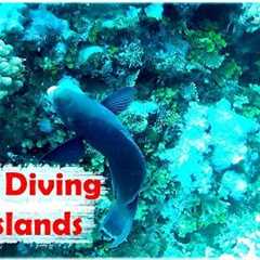 Scuba Diving Trip 1 ( Fiji Islands )