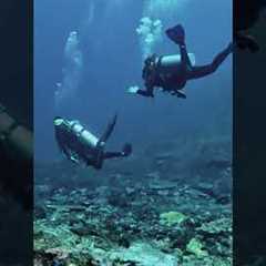 Komodo Dive Trip with La Galigo Liveaboard