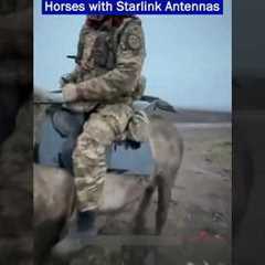 Russian Army uses Horses with Starlink Antennas Appear on the Battlefield!!