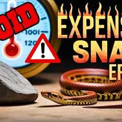 Don't Make These Mistakes Your First Year With Snakes