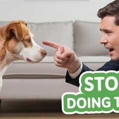 The Most Common Dog Training Myths (Debunked)