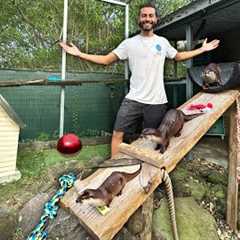 I Built NEW Enclosure For My PET OTTERS!!