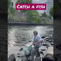 An awesome beautiful moment- A Japanese fishing hobbyist catching a fish live #japanshorts #fishing
