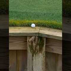 Golf can be cruel 😔