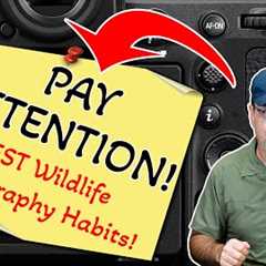 10 Habits That Will Instantly Improve Your Wildlife Photography