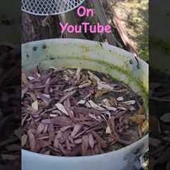 Fermented Plant Juice Fertilizer