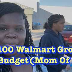 Walmart Grocery Haul ON A BUDGET #grocery shopping