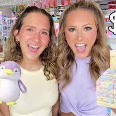 Shopping at MINISO for the FIRST TIME with a $100 BUDGET 🛍😱 #trend #shopping #miniso #toys..