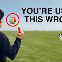 How I EXHAUST My High Energy Dog in 10 Minutes