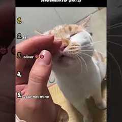 Top 5 Funniest Cat Moments (Part 3)