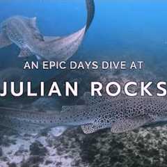 Scuba Diving Julian Rocks with INCREDIBLE Marine Life -  Byron Bay - 4K