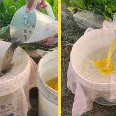 One Liquid for Growth & Pest Control That Nourish Your Garden Conditions  