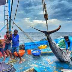 Amazing! The Ninth Day We Stayed In The Deep Sea And Caught A Lot Of Big Fishes | Day-09 | S07-EP09