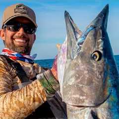Searching for Massive Wahoo in Texas