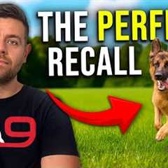 Teach Your Dog a ROCK-SOLID Recall Ft. Steven O Hagan