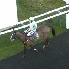 £125k buy Diamant Dore wins by half the track on debut | Racing TV