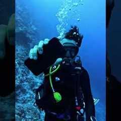 Scuba diving at Netrani island @Murdeshwar#scuba #netraniisland #scubadivingtravel #scubatravel