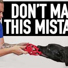 The BIG Mistake People Make When Teaching A Dog To Drop Something