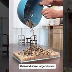 How to build a fish tank