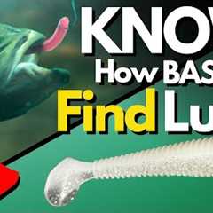 Bass Behavior That Changes Lure Selection (I Wish I Knew This Sooner)