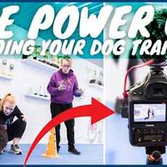 Video Your Dog Training! Complete Guide To Videoing, Reviewing & Improving Every Session