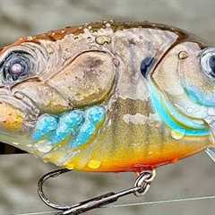 Conjoined Species Fishing Lure