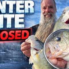 Most Anglers Fail at Winter Crappie Fishing— Here’s Why
