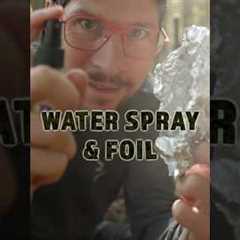 Macro Photography Hacks: Spray Bottle & Aluminum Foil #macrophotography #canonrf