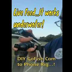 DIY GoFish Cam to Phone Live Feed Rig #shorts