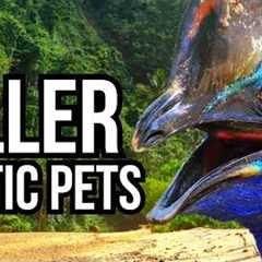 7 Exotic Pets That Ended Up Eliminating Their Owners