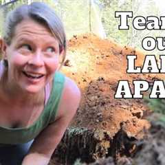 This RUINED our LAND // Building Our OWN House - Ep. 25