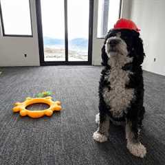 DIY Carpet Tiles: How We Installed Them