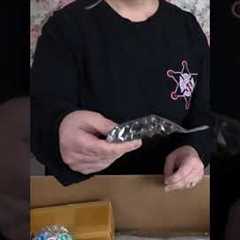 We have a new Amazon Mystery Box Unboxing! Check this out and follow for the full video! #amazon