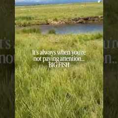 Why Does This Always Happen | Fly Fishing Mistakes