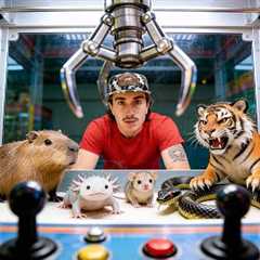 I Found a Live Animal Claw Machine Off the Web…