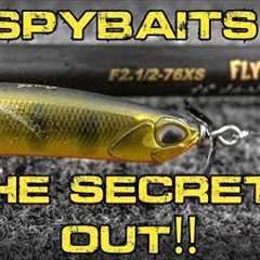 Spybaits: The Secret Lure That Will Change Your Fishing Forever